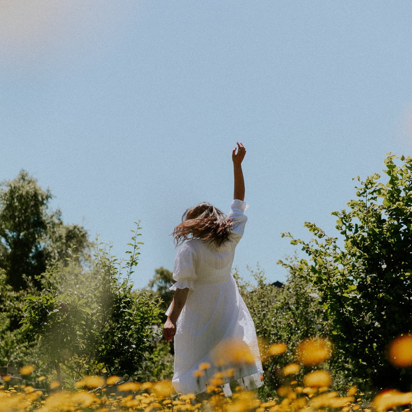 Descriptive background image