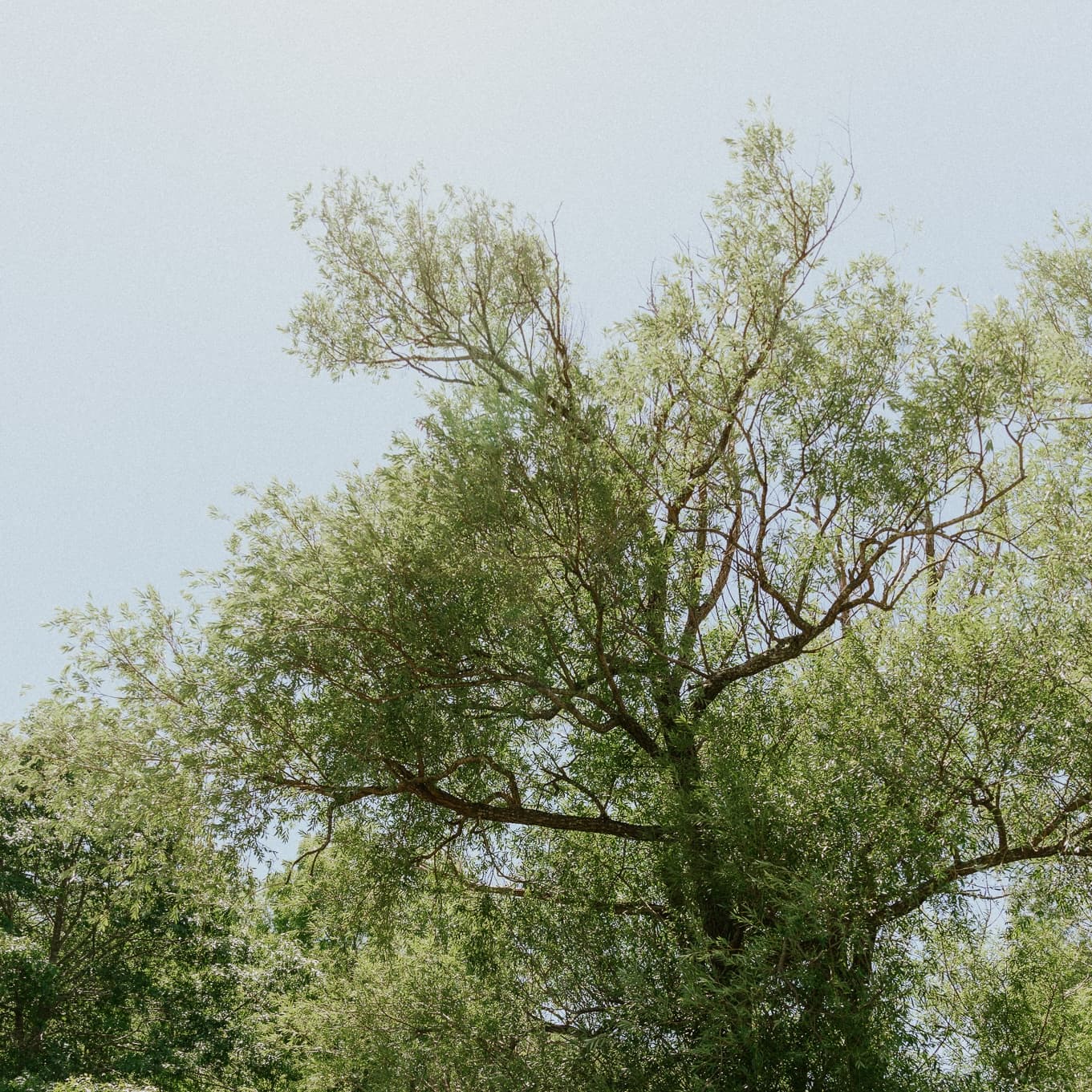 Descriptive background image